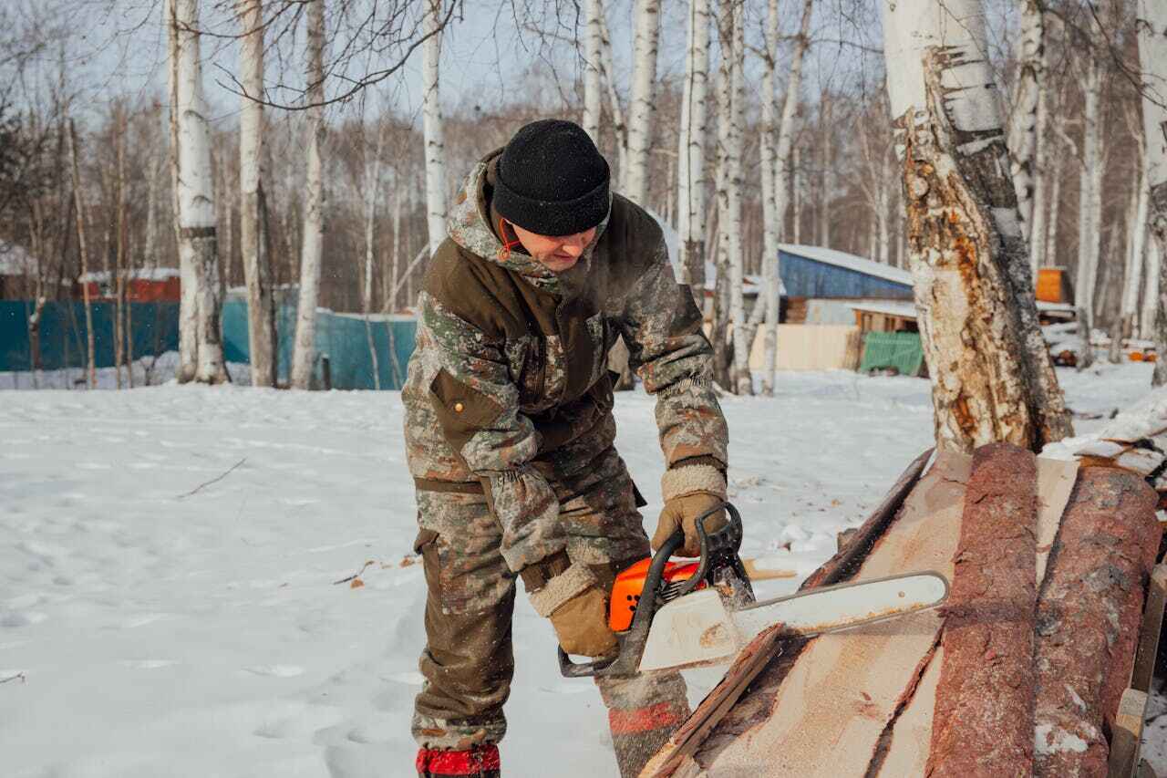 Best Large Tree Removal  in Und City, MO